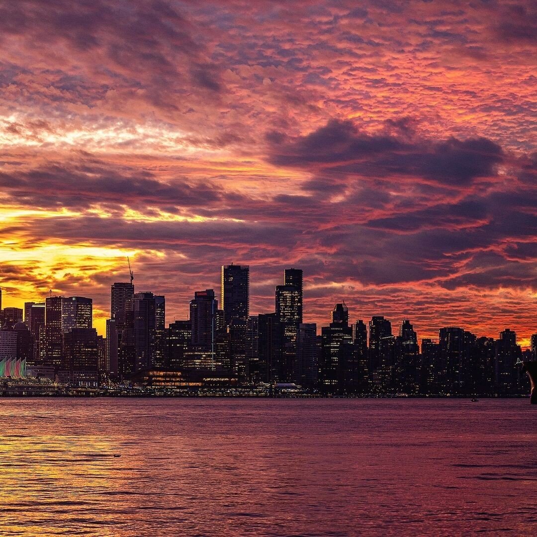 Burning skies and peaceful vibes here on the lolo. 🌇 ⁠
⁠
Beautiful sunset shot, @dkenz. 📸⁠
⁠.⁠
.⁠
.⁠
.⁠
#northvan #lonsdalequay #shipyardsdistrict #lowerlonsdale #vancouverbc#northvancouver #vancouvercanada #vancouverisawesome #vancouver #dailyhive