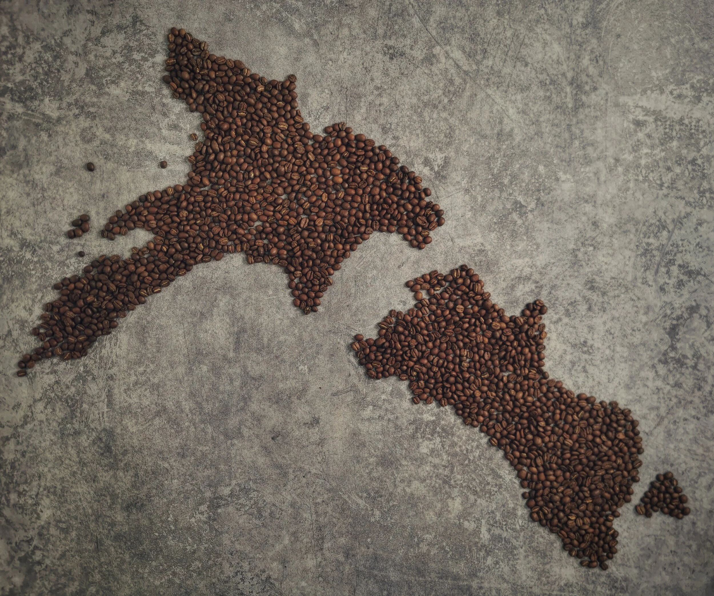 coffee beans NZ
