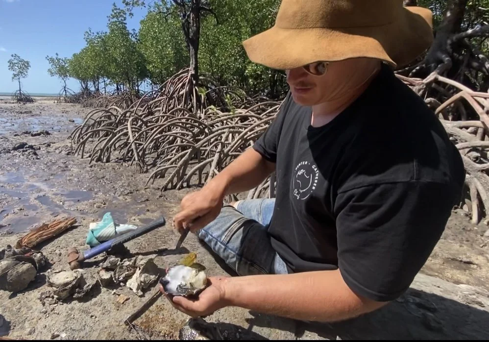 Cape York Black Lip Oysters