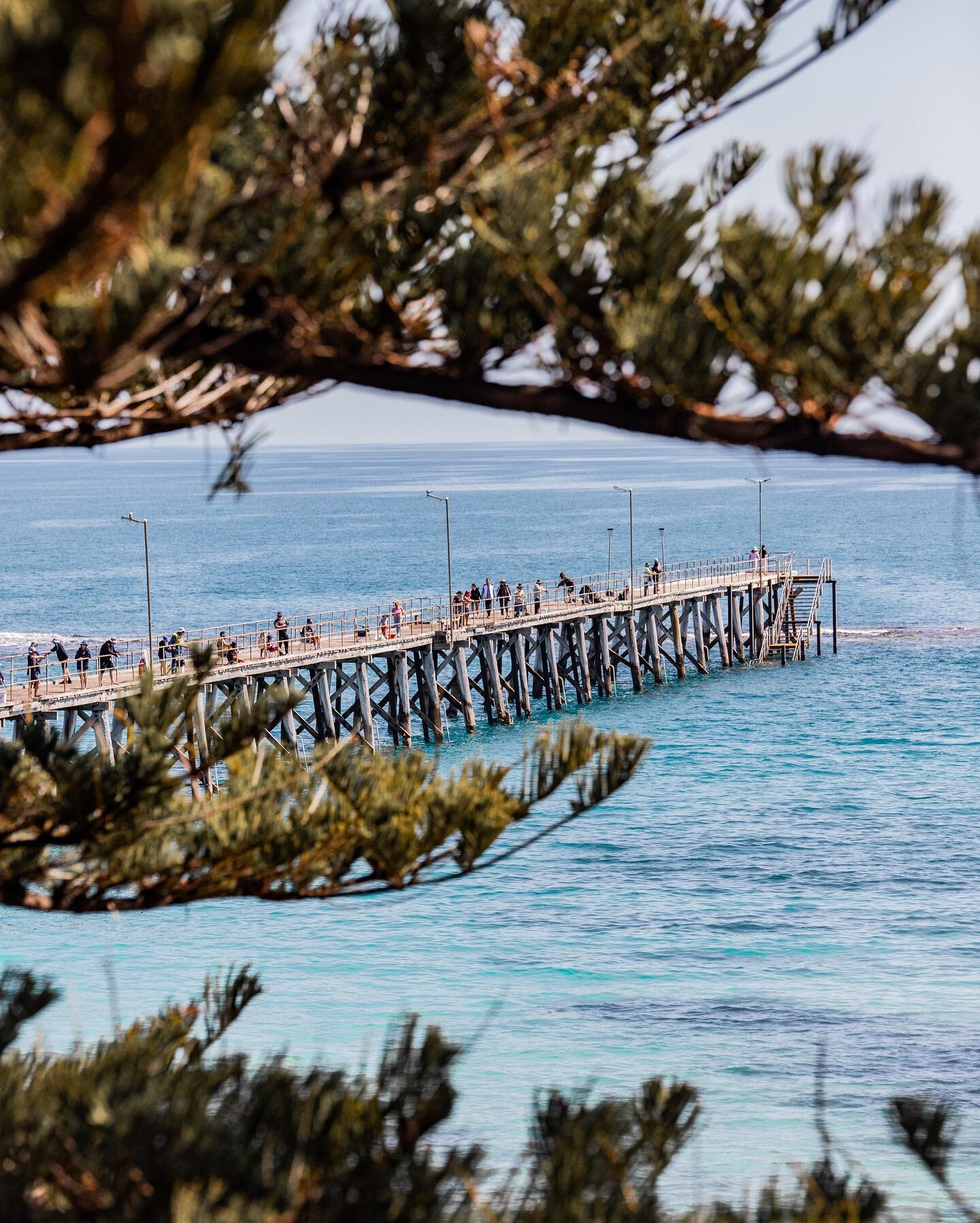 Portys 😍🌊☀️

#portnoarlunga #portnoarlungajetty #summer #summertime #jetty #southaustralia #southaustralianbeaches #southaus #abcmyphoto #sunshine