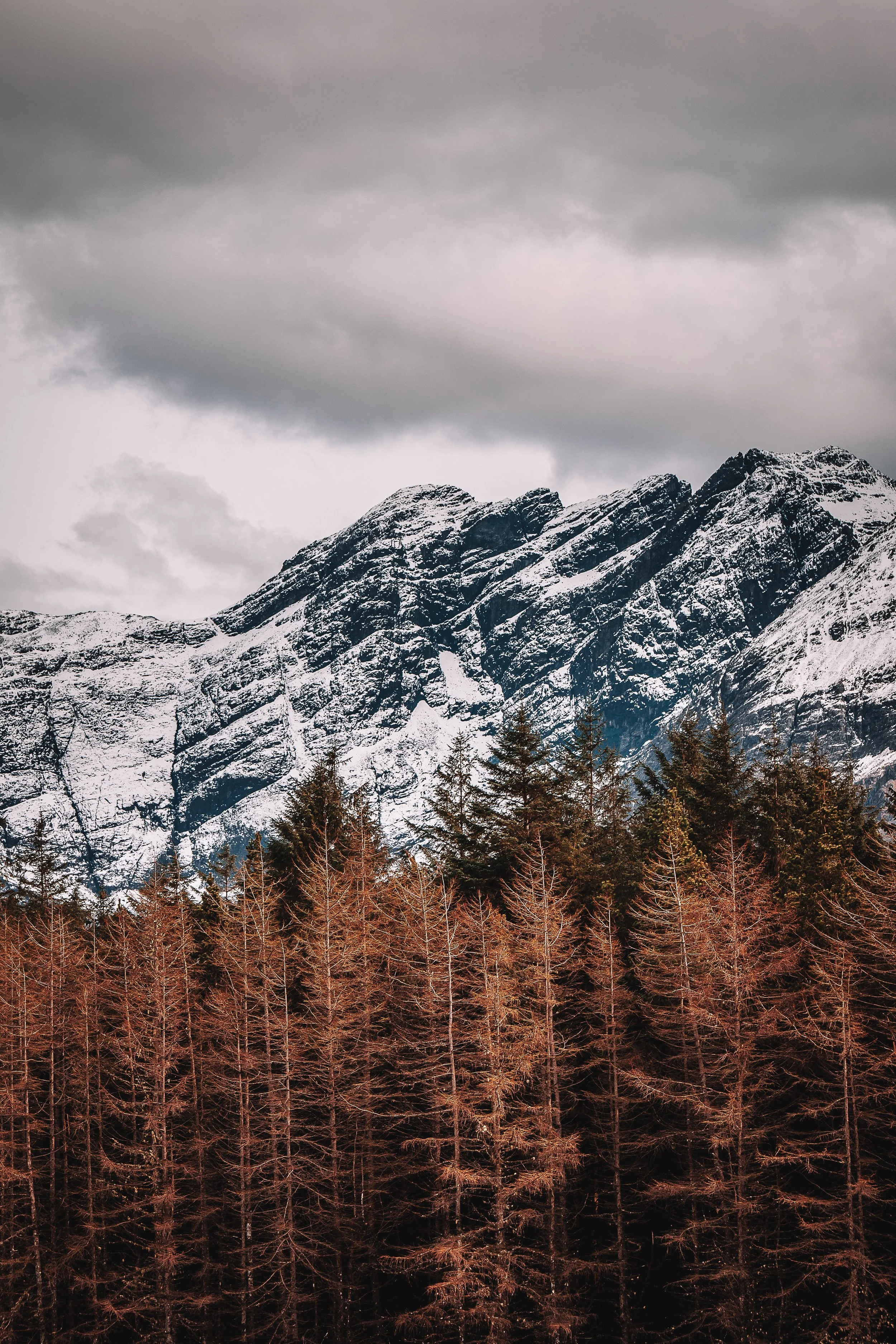 prints?-4.jpg