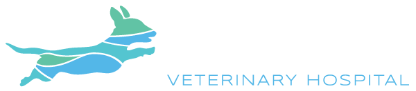 Windan'Sea Veterinary Hospital Forster