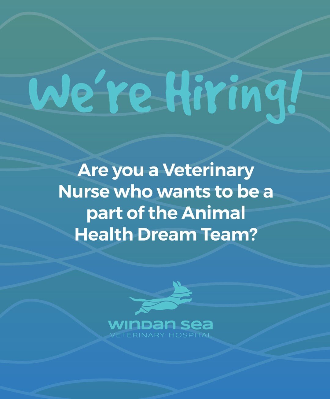 APPLY NOW // We're on the lookout for vet nursing staff to join our team - if you're looking for an environment full of learning &amp; heartfelt care, in a clinic focused on growth and development, head over to the Our Team page on our website &amp; 