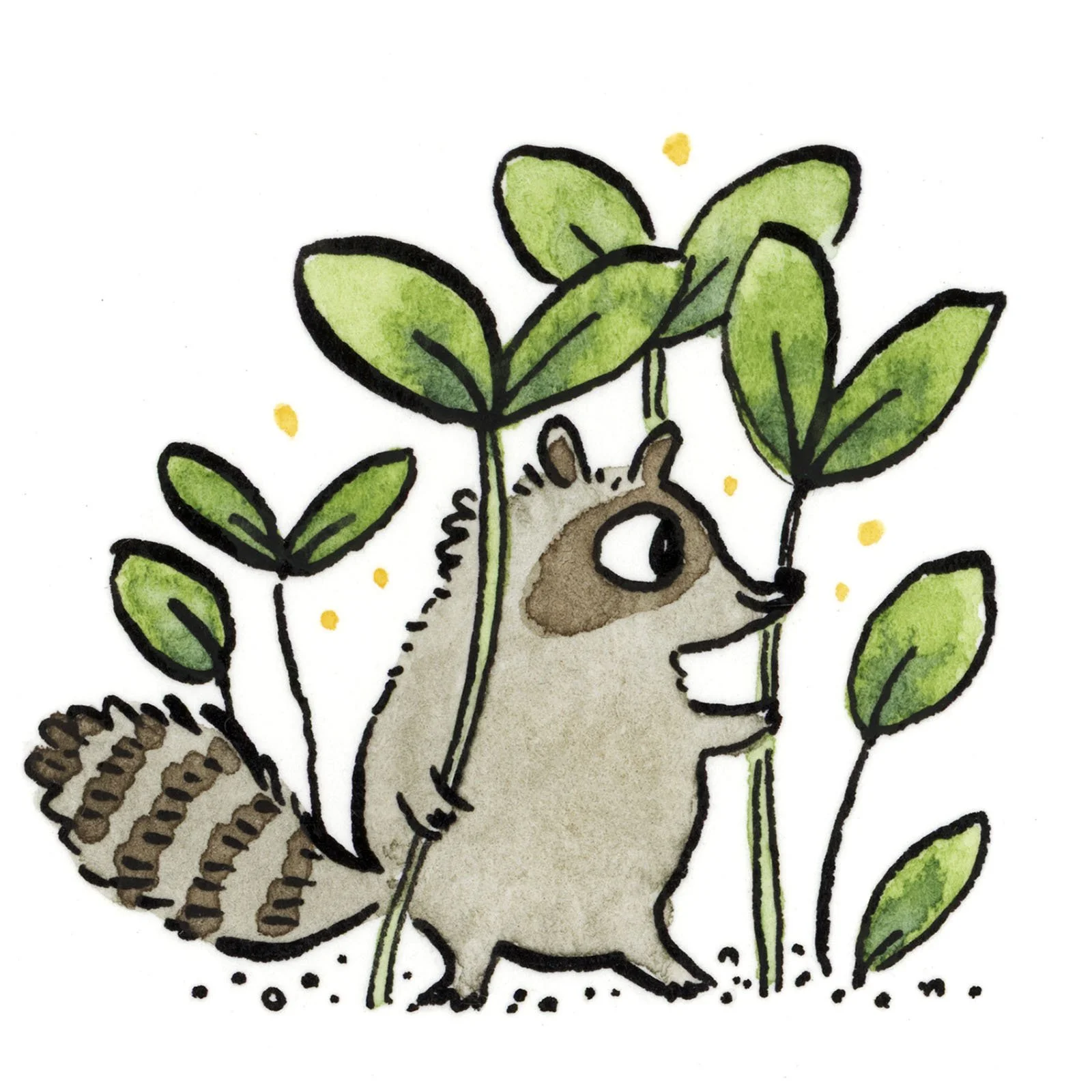 Beastly-Worlds-print-club-raccoon-1.jpg