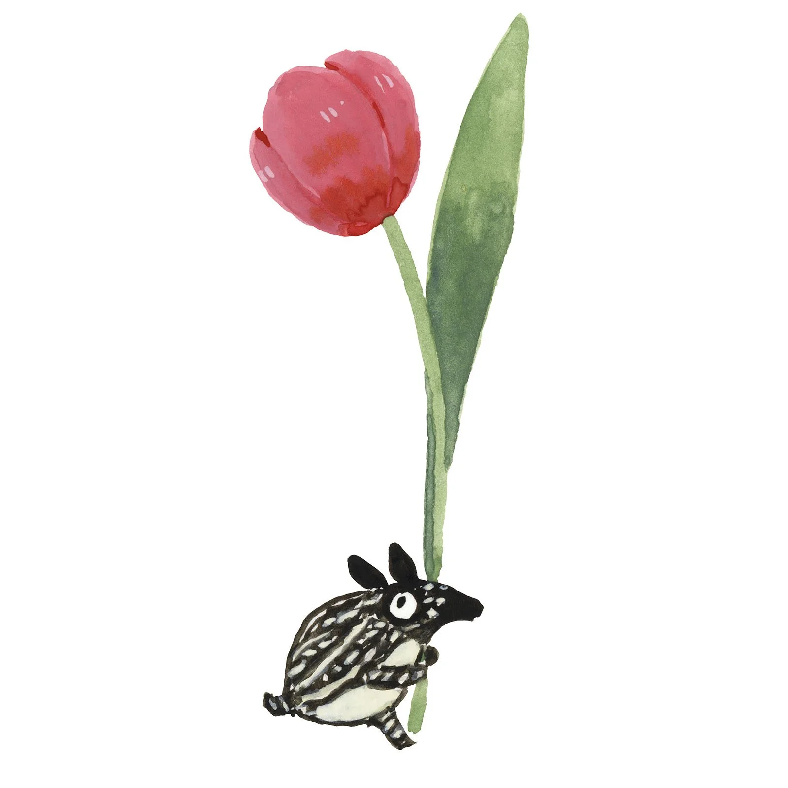 Beastly-Worlds-Tapir-Card-11 mini tapir tupip.jpg