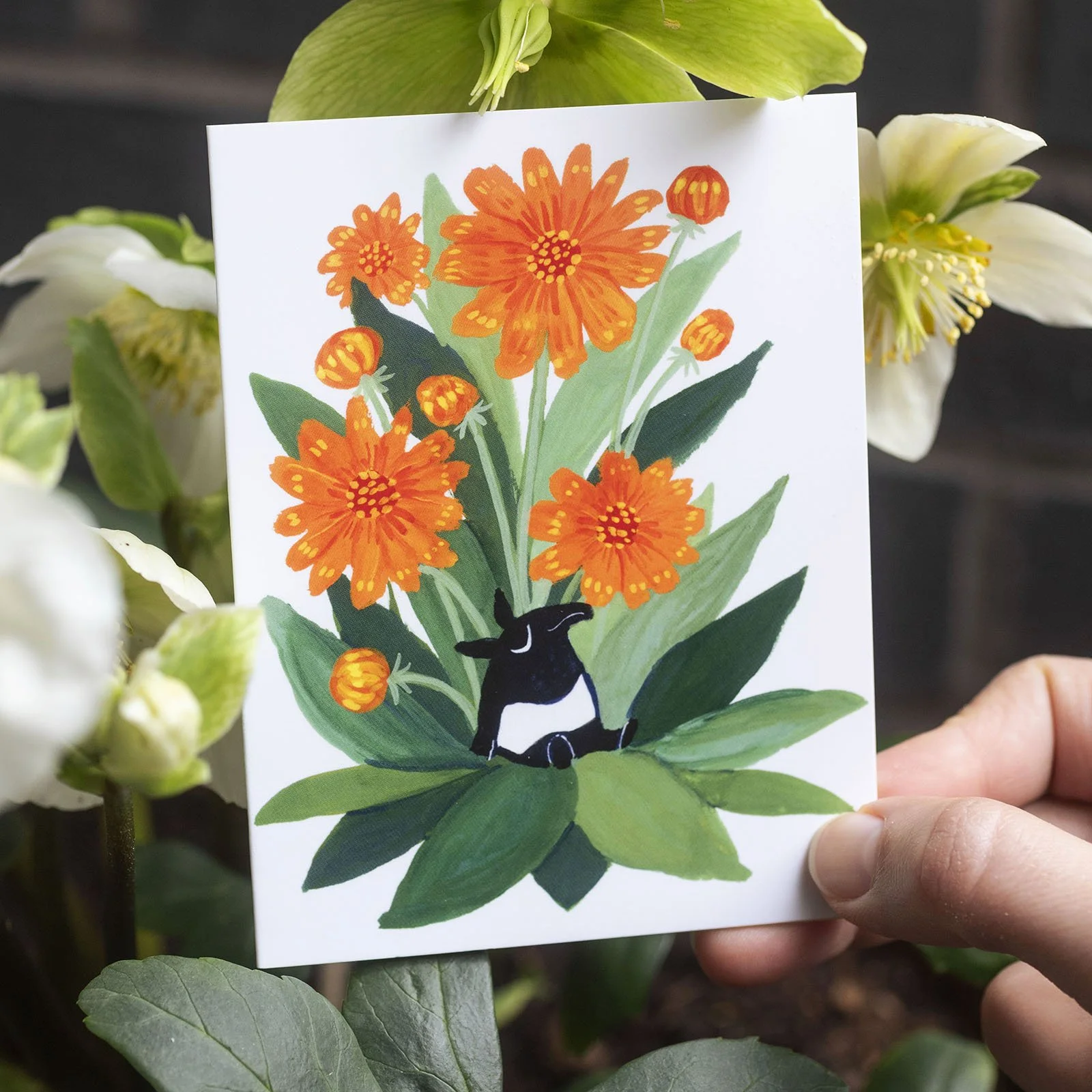 Beastly-Worlds-Tapir-Card-9 tapir lounger 2.jpg