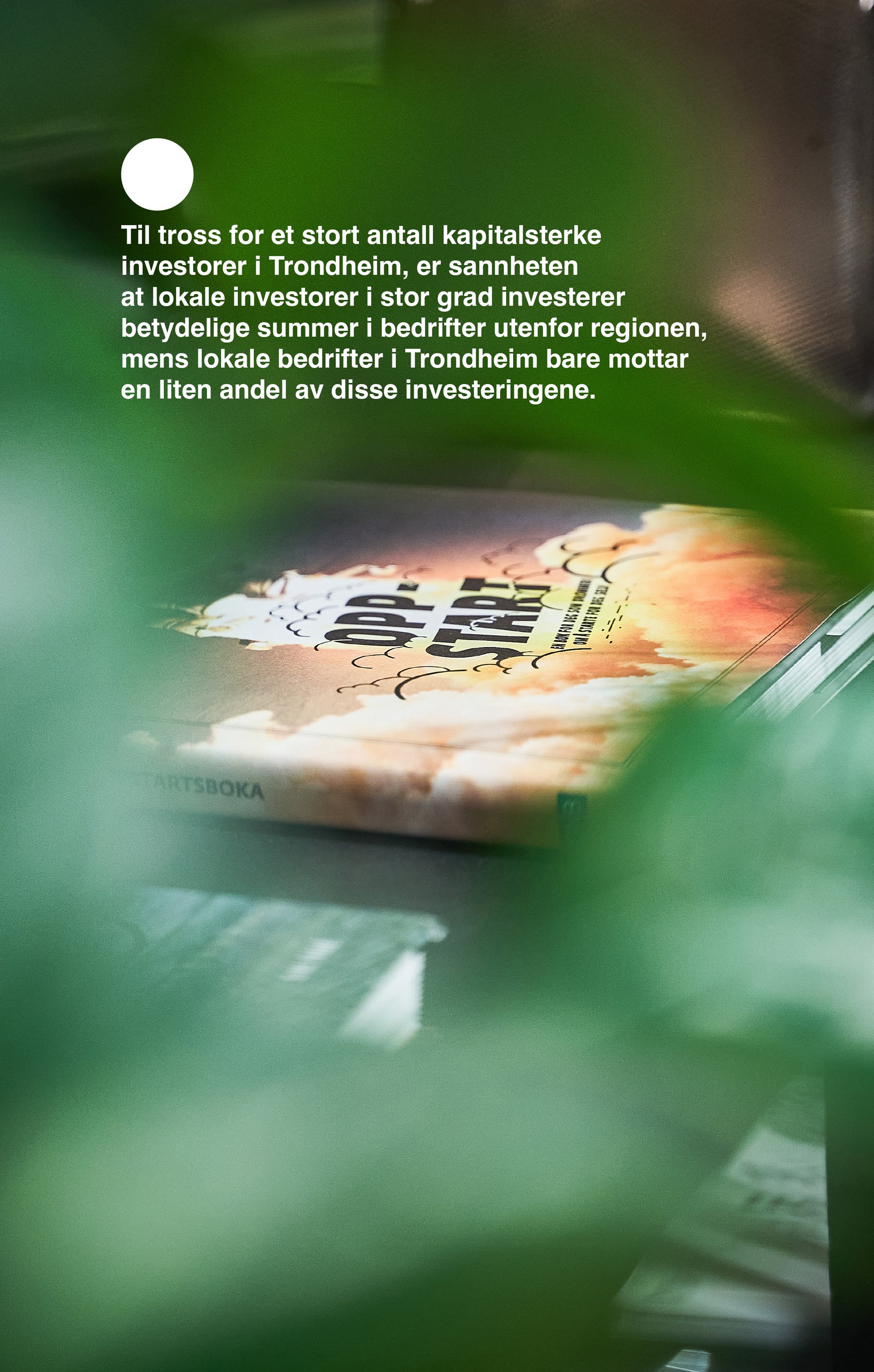 StartupTRD5_.jpg