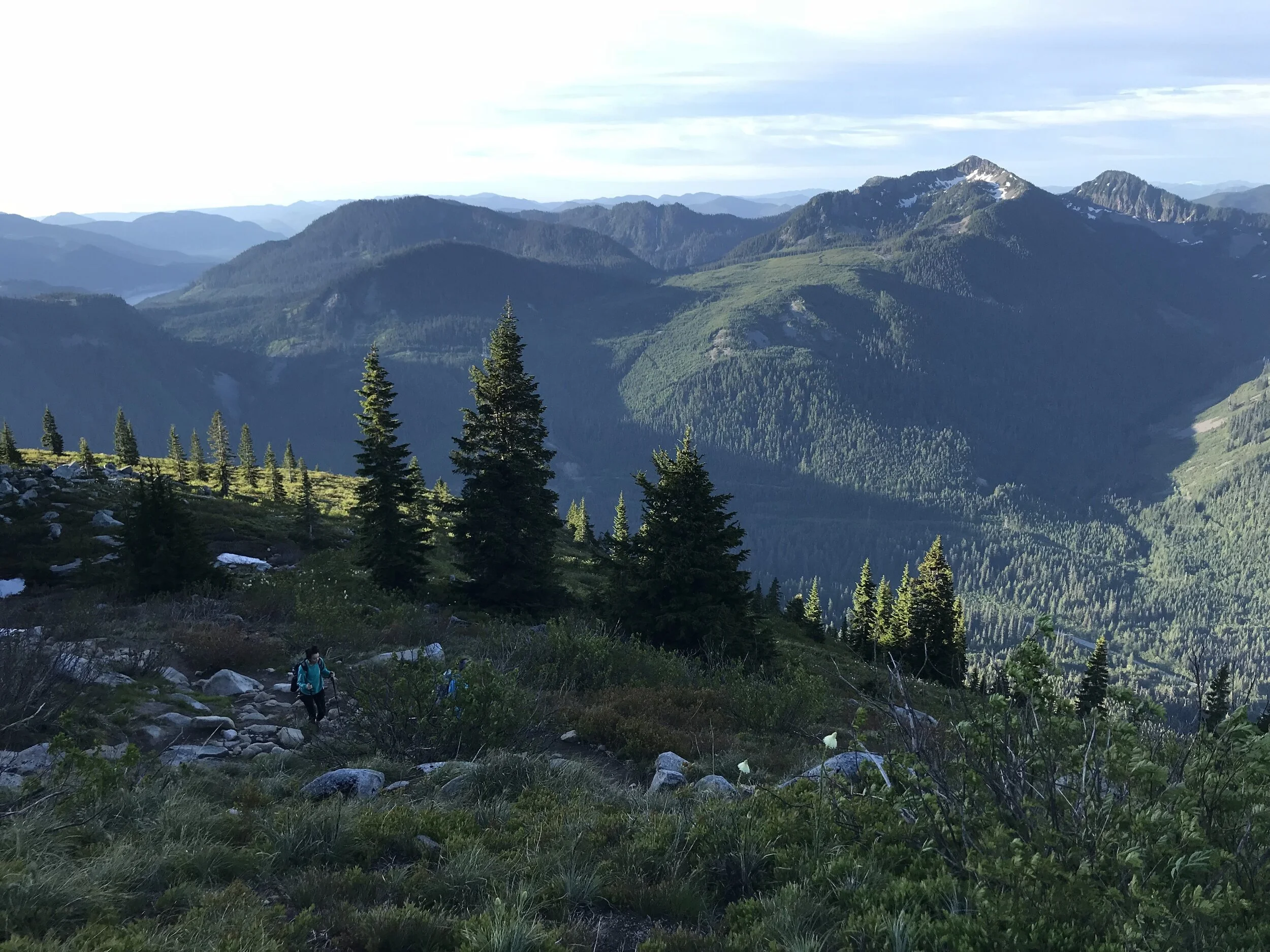 2018-07-04-06.39.28.jpg