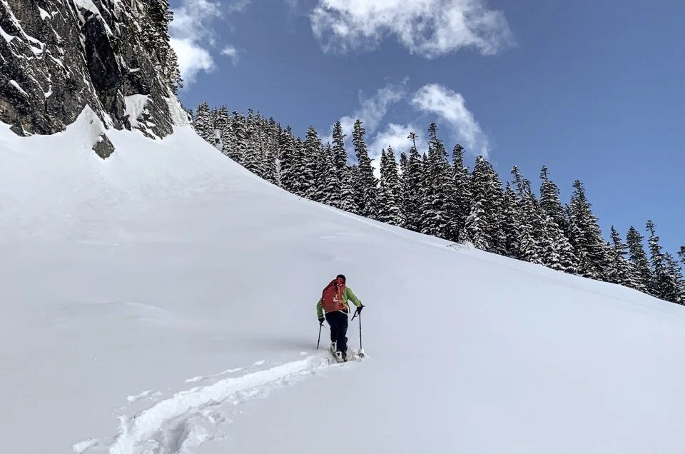 Lane Peak: The Fly
