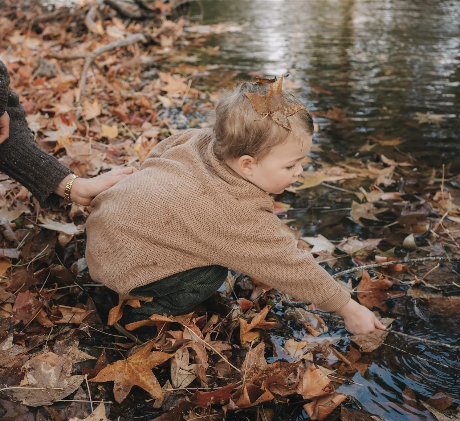 boy with autumn leaves near water. lake.
