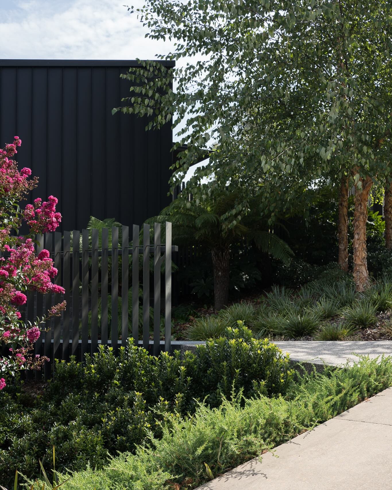 Landscape design photos for @canopydesignstudio 🍃 - love to think about textures, colours, design and layers combined with different angles of the house.