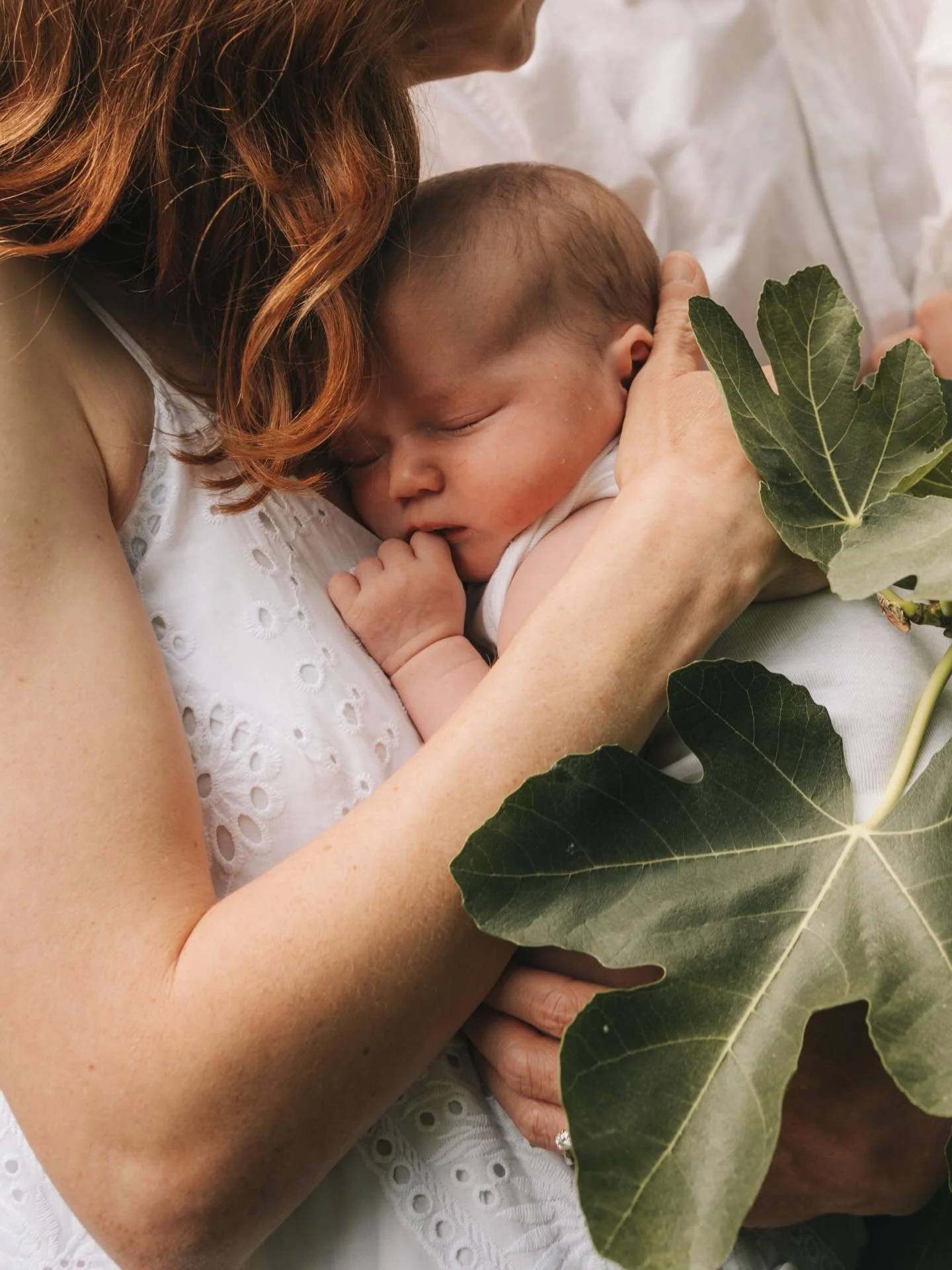 A hazy smokey Melbourne trip this past weekend. 
One from the garden with a beautiful brand new baby.