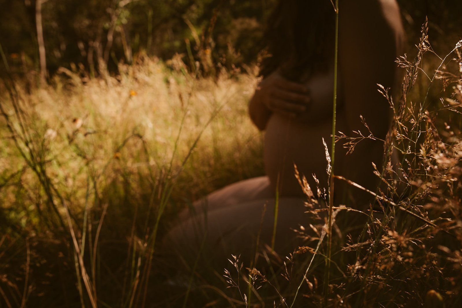 D1AD5177-5CE3-4D62-8EF5-716A11DD4AFE_websize.jpg