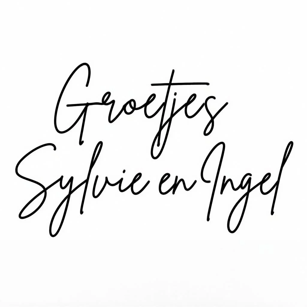 Black handwritten-style text on a white background that reads "Grojfes Sylvie en Angel."