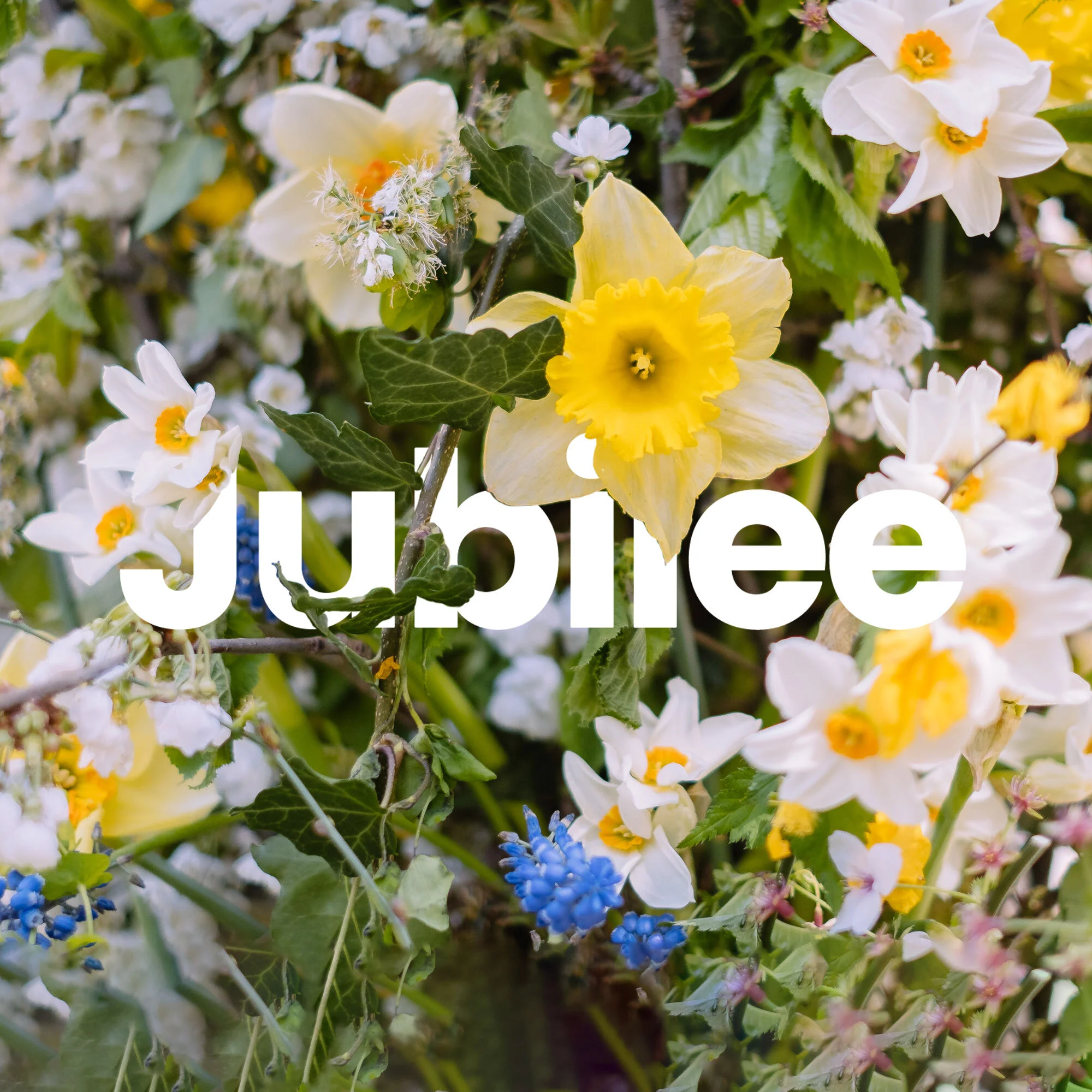 Jubilee | Light
