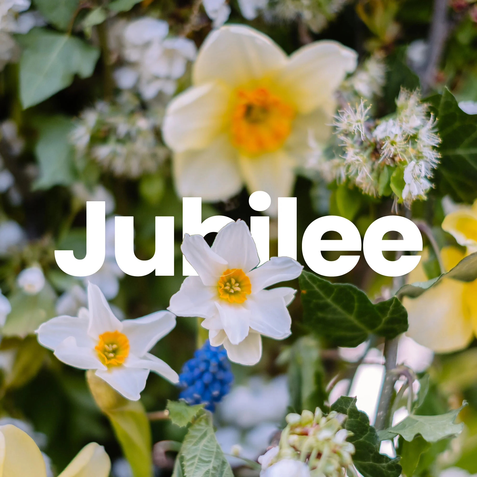 Jubilee | Water