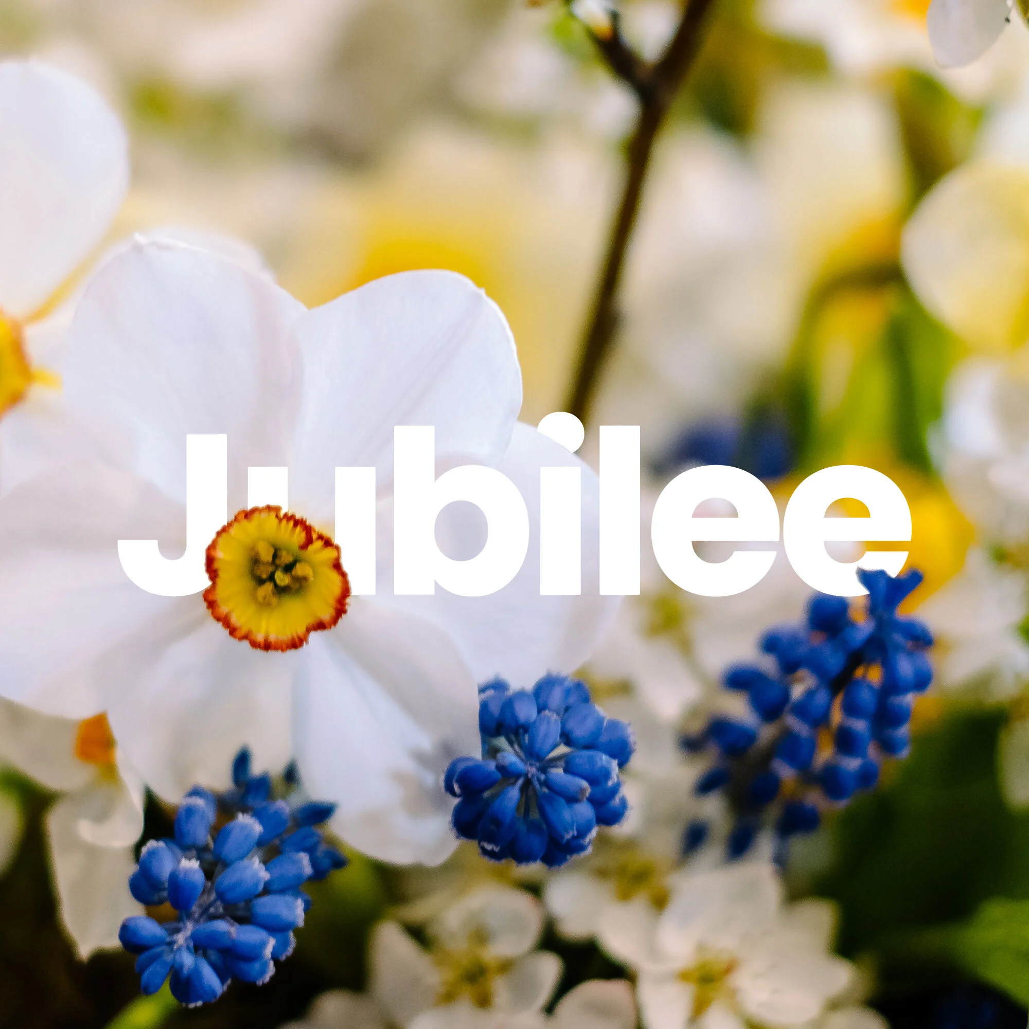 Jubilee | Air