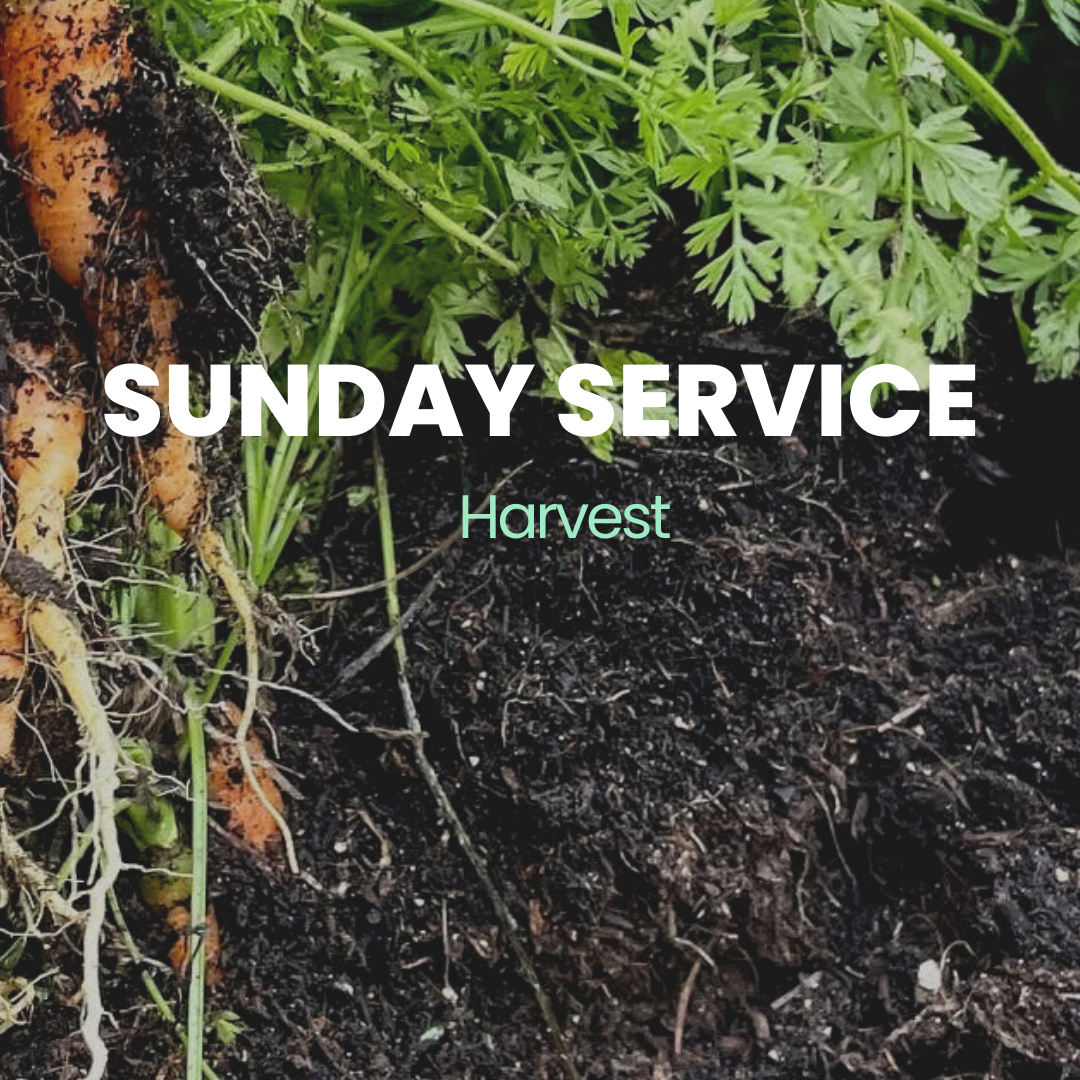 Sunday Service | Harvest 