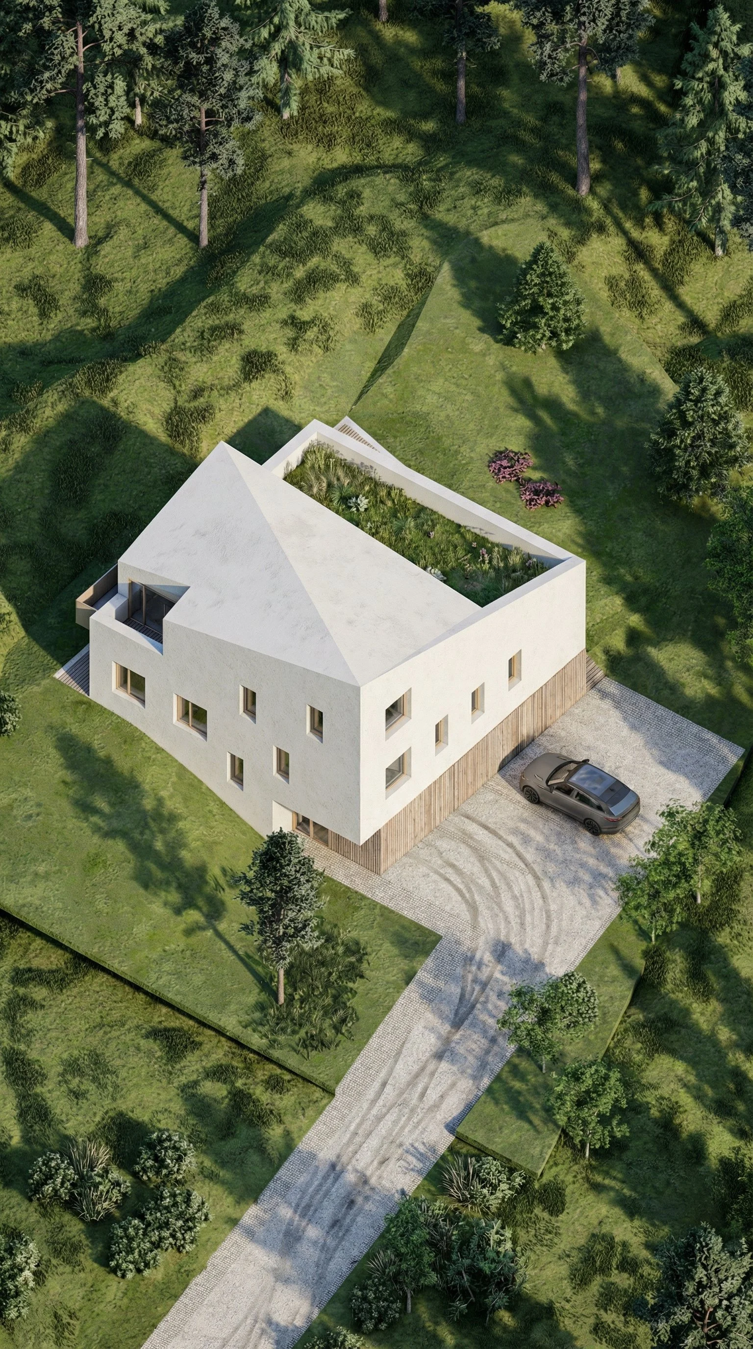 Generated Image February 18, 2026 - 3_50PM.jpeg