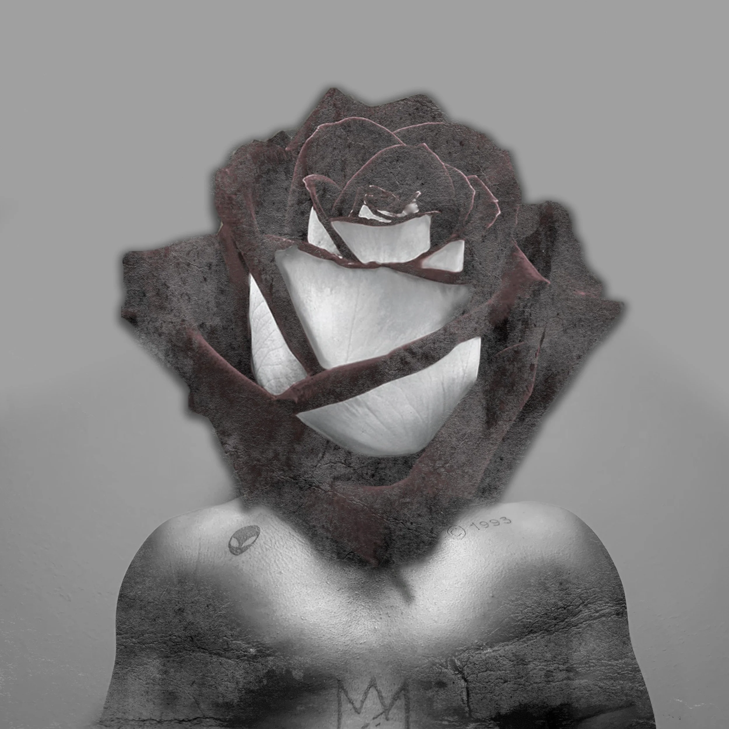 Graphic designed collage image.