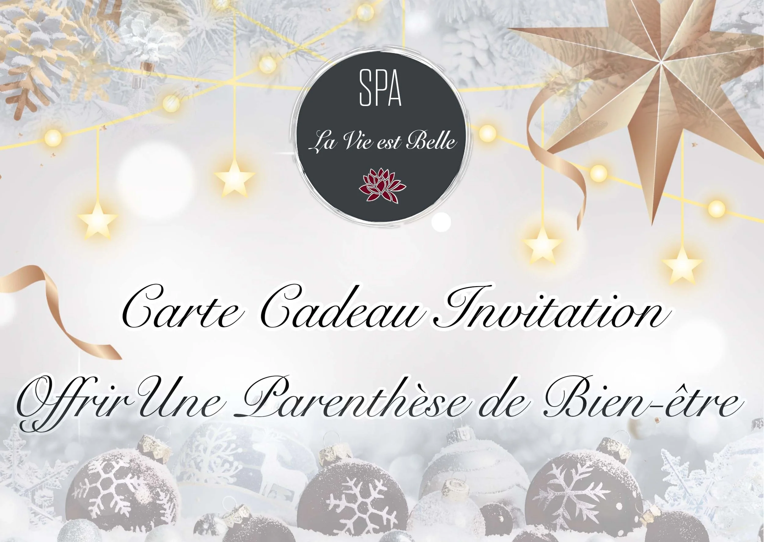 Carte Cadeau Noel 2024 V2.jpg