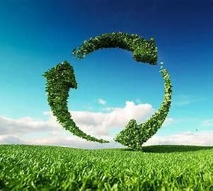 Why Sustainability?