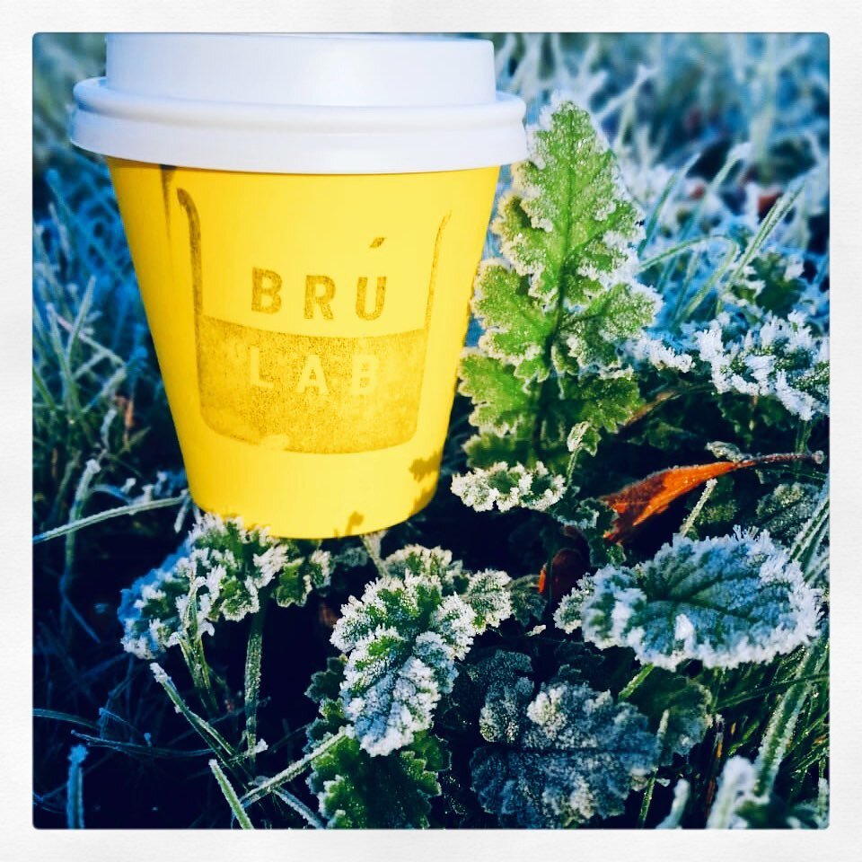 Another frosty morning! Why not get yourself a little hand warmer from Br&uacute; Lab! #winterwarmer