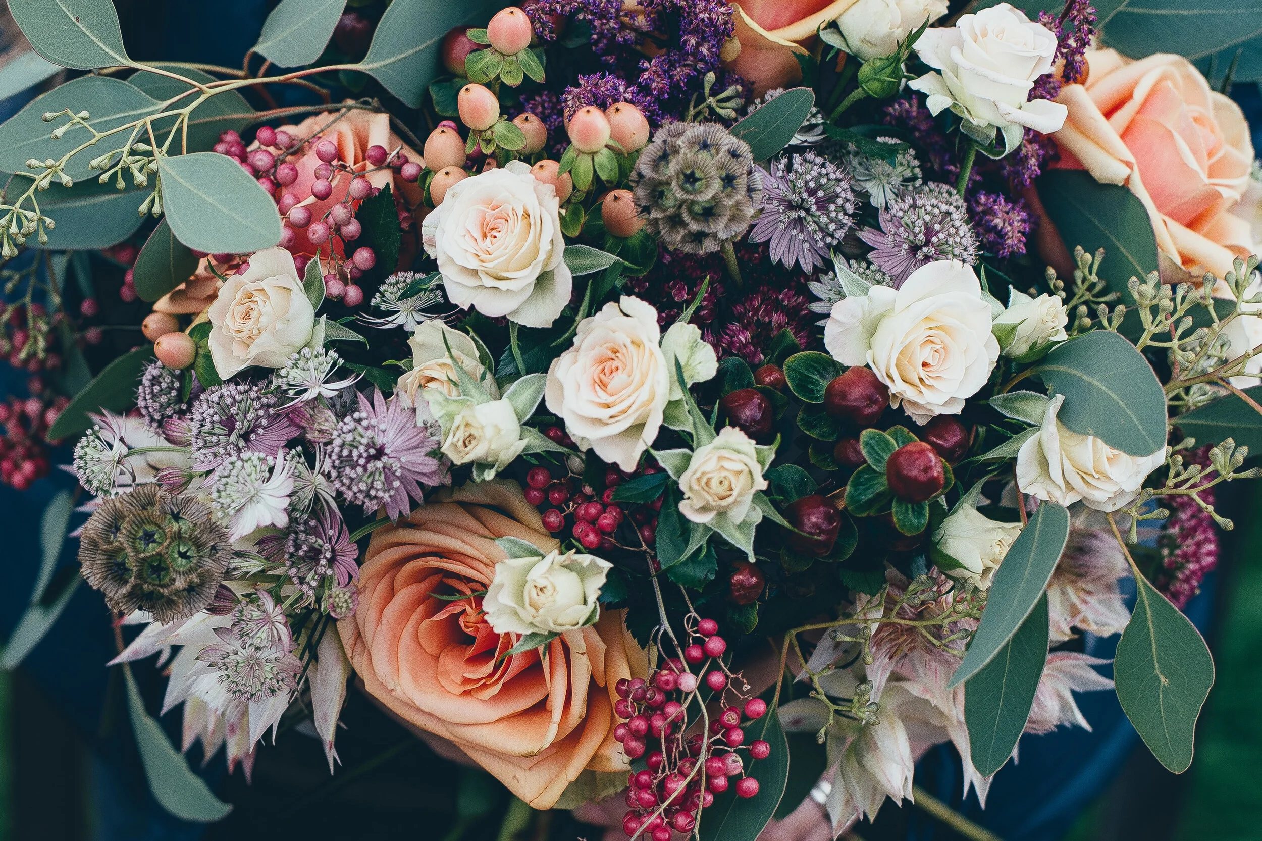 Wild Whimsical Flowers