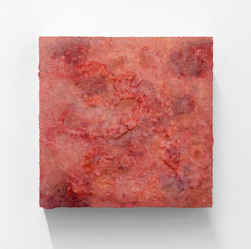 ALEX EHMER  Fat, 2026  Wax on board 40 x 40 inches $3,500