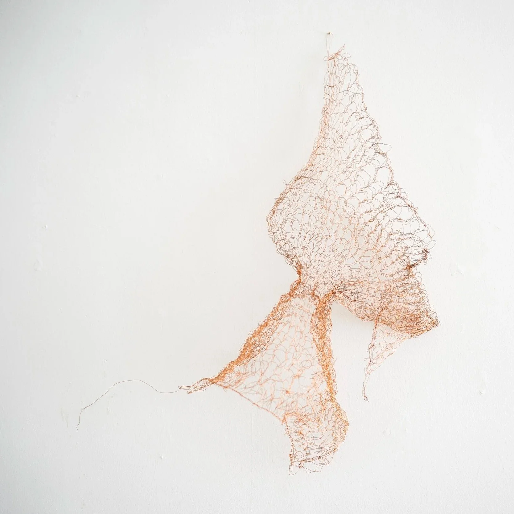 JENNIFER BROOKE STUART  The Creation of Shape  Wire sculpture 21 x 6.5 inches $350