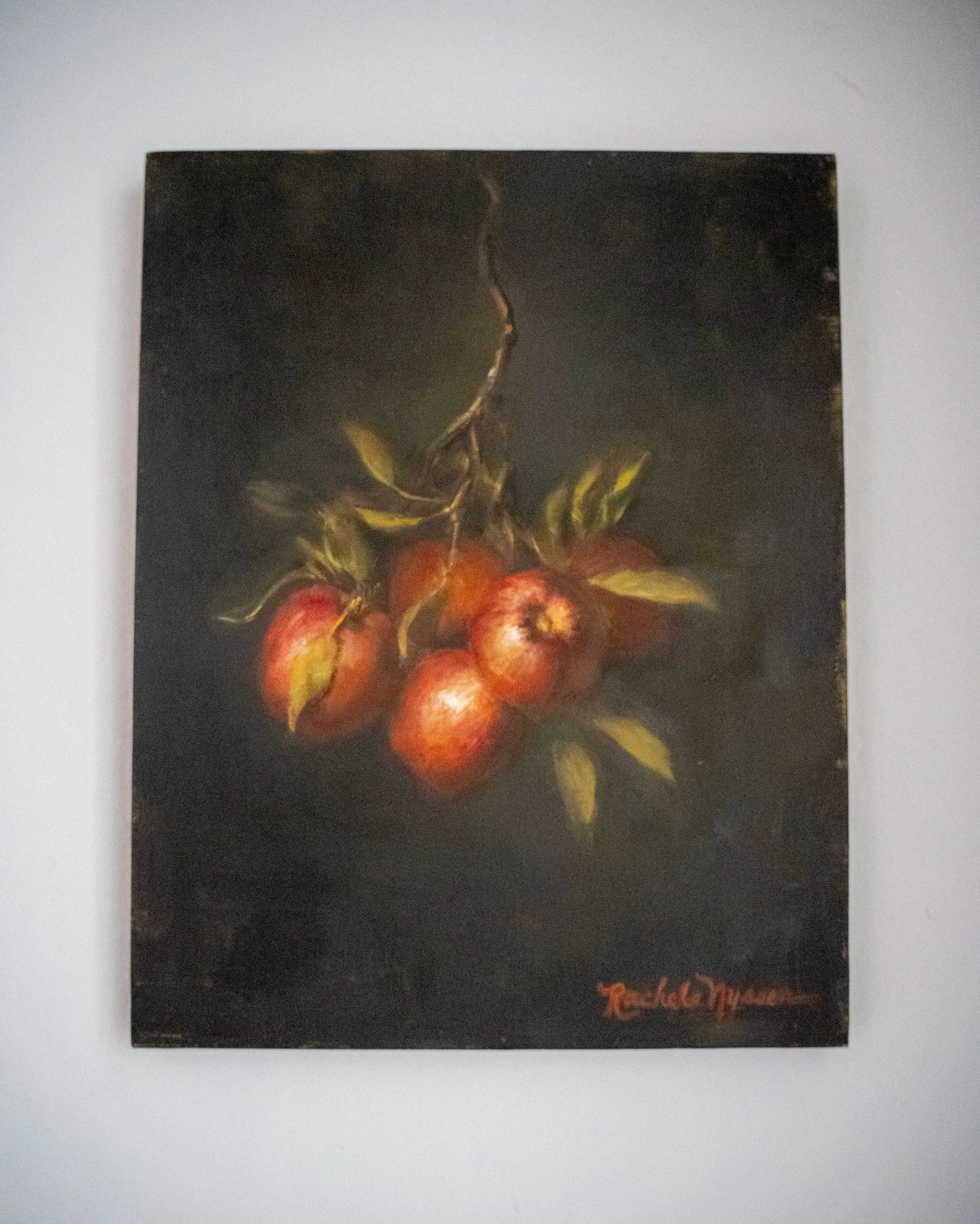 RACHELE NYSSEN  Hanging Apples  Study – Oil on canvas 14 x 11 inches $850