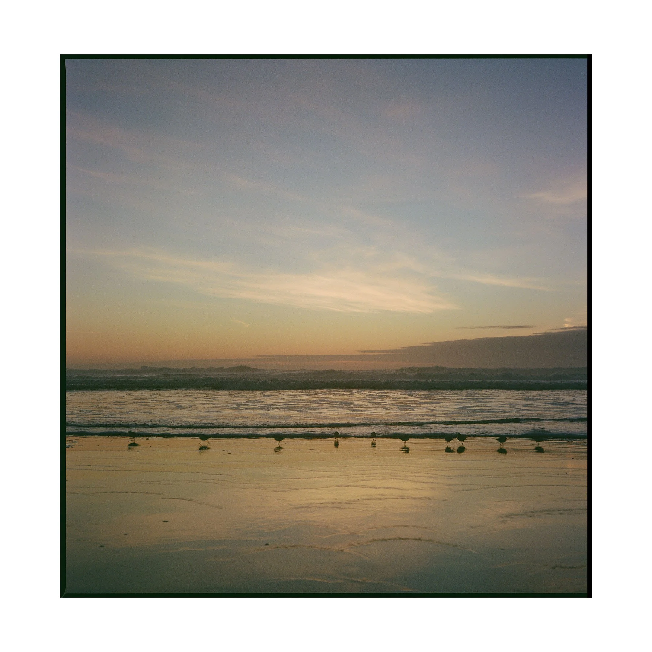 SARAH MCCARTHY GRIMM 
 Sanderling Sunset , 2024 
Archival inkjet print 
24 x 24 inches 
Edition 1/10