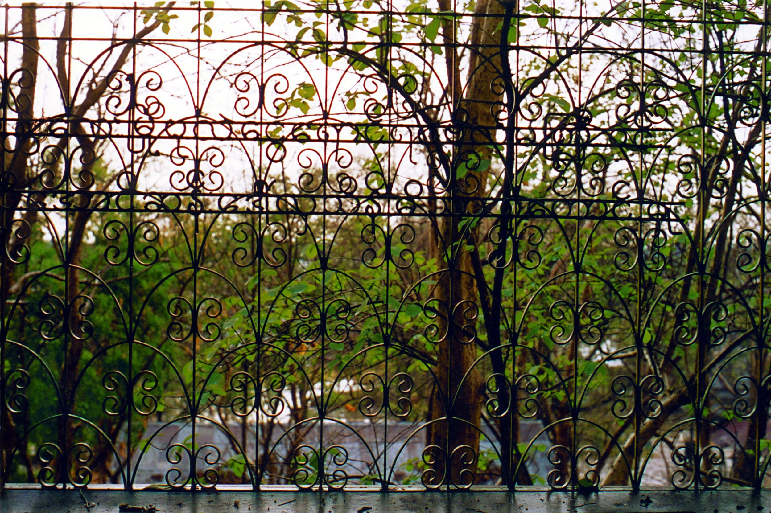 Window view - ironwork.jpg