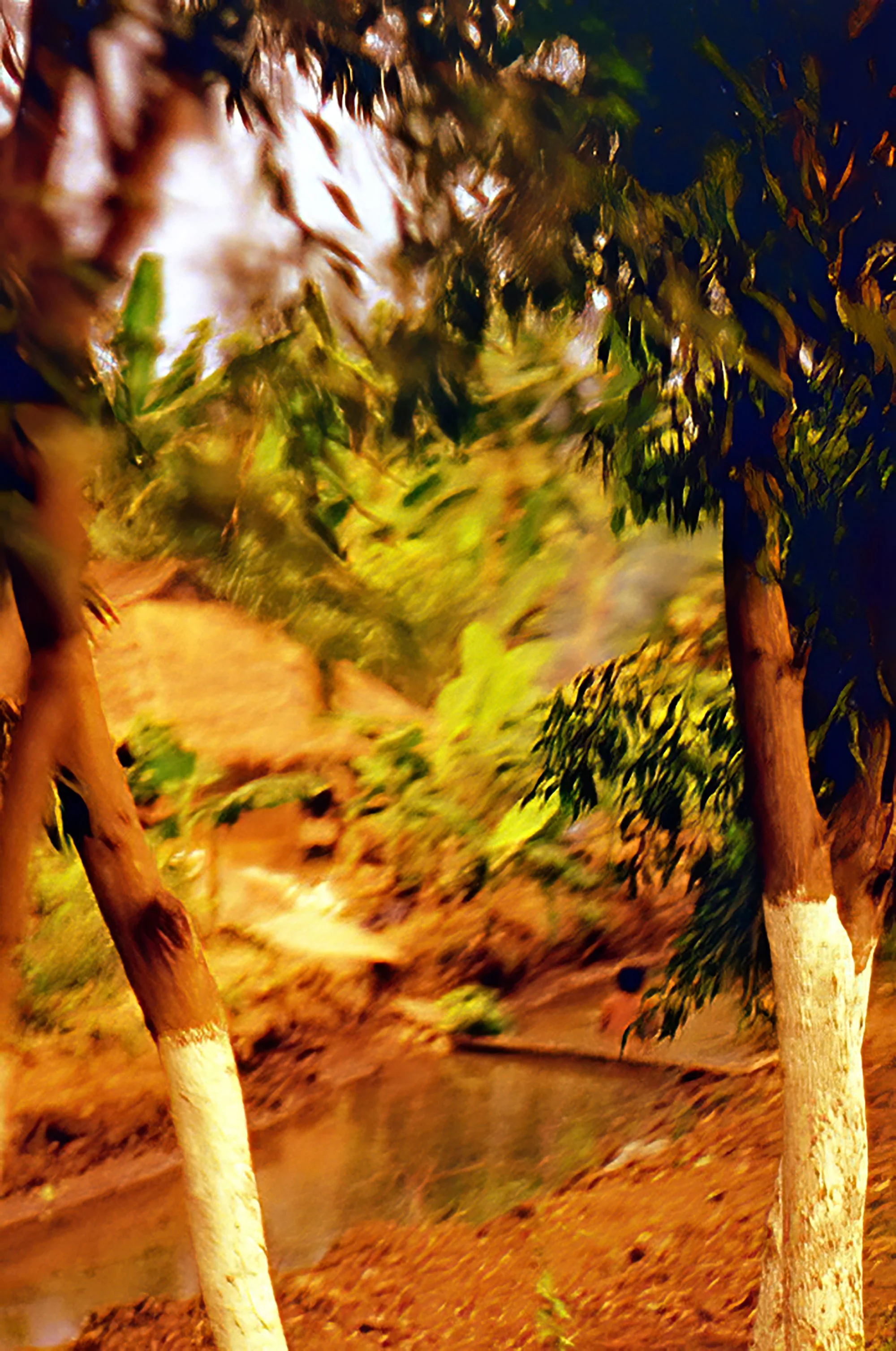 Bather in river - moving car_Topaz Denoise AI.jpg