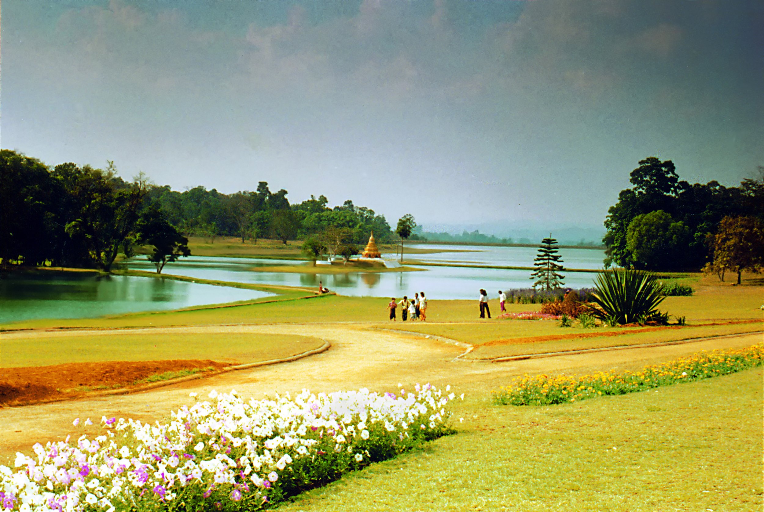 Botanical gardens - Dfine 2 Denoise.jpg