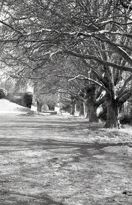 Around Ealing4.jpg