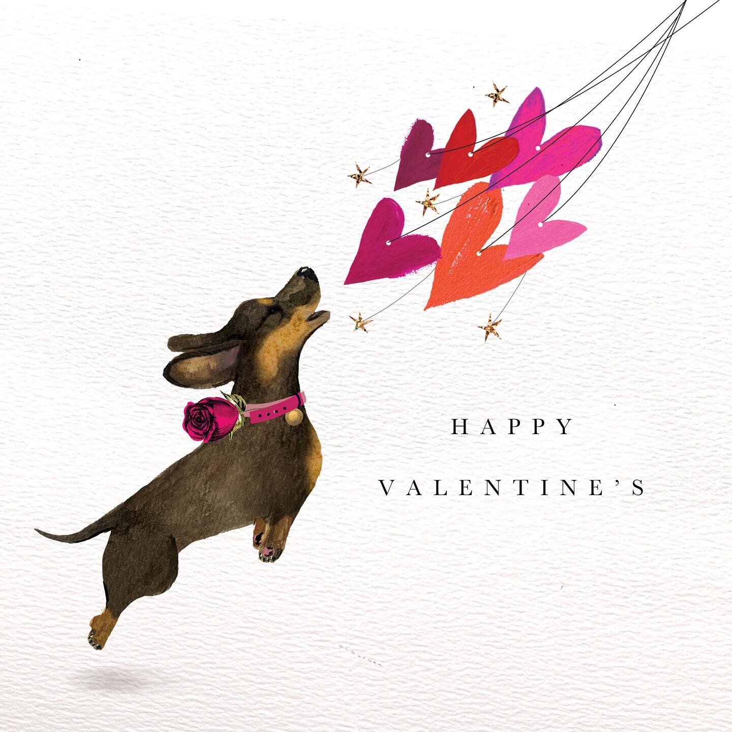 Happy Valentine&rsquo;s Day! My favourite season to design 🌹❤️ 

#valentines #sausagedog #dogsofinstagram #dachshund #dachshundsofinstagram #dog #illustration #art #greetingcards #justacard #valentinesday #valentinesdog