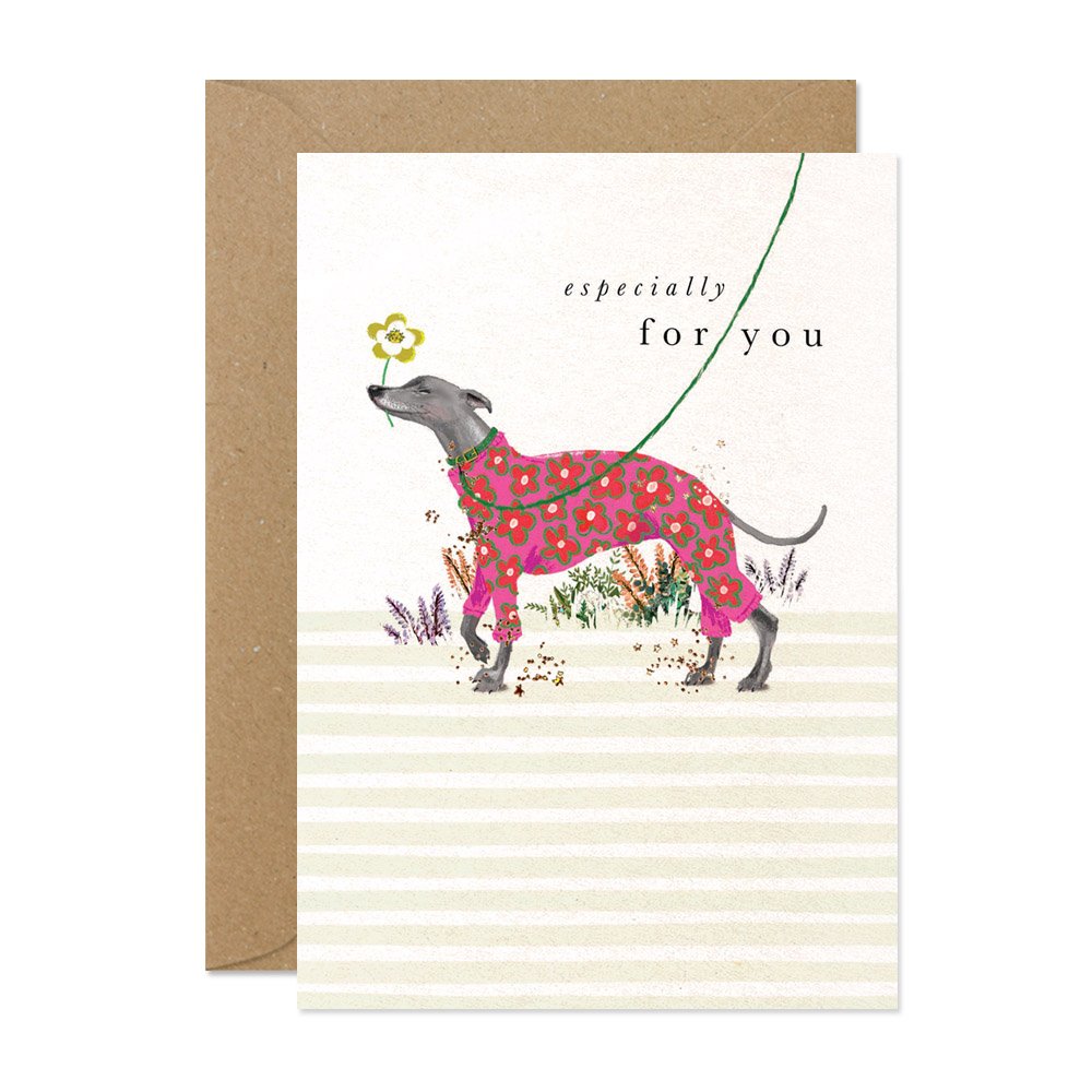 SDFR10 whippet-especially-for-you-greetings-card-stephanie-davies.jpg
