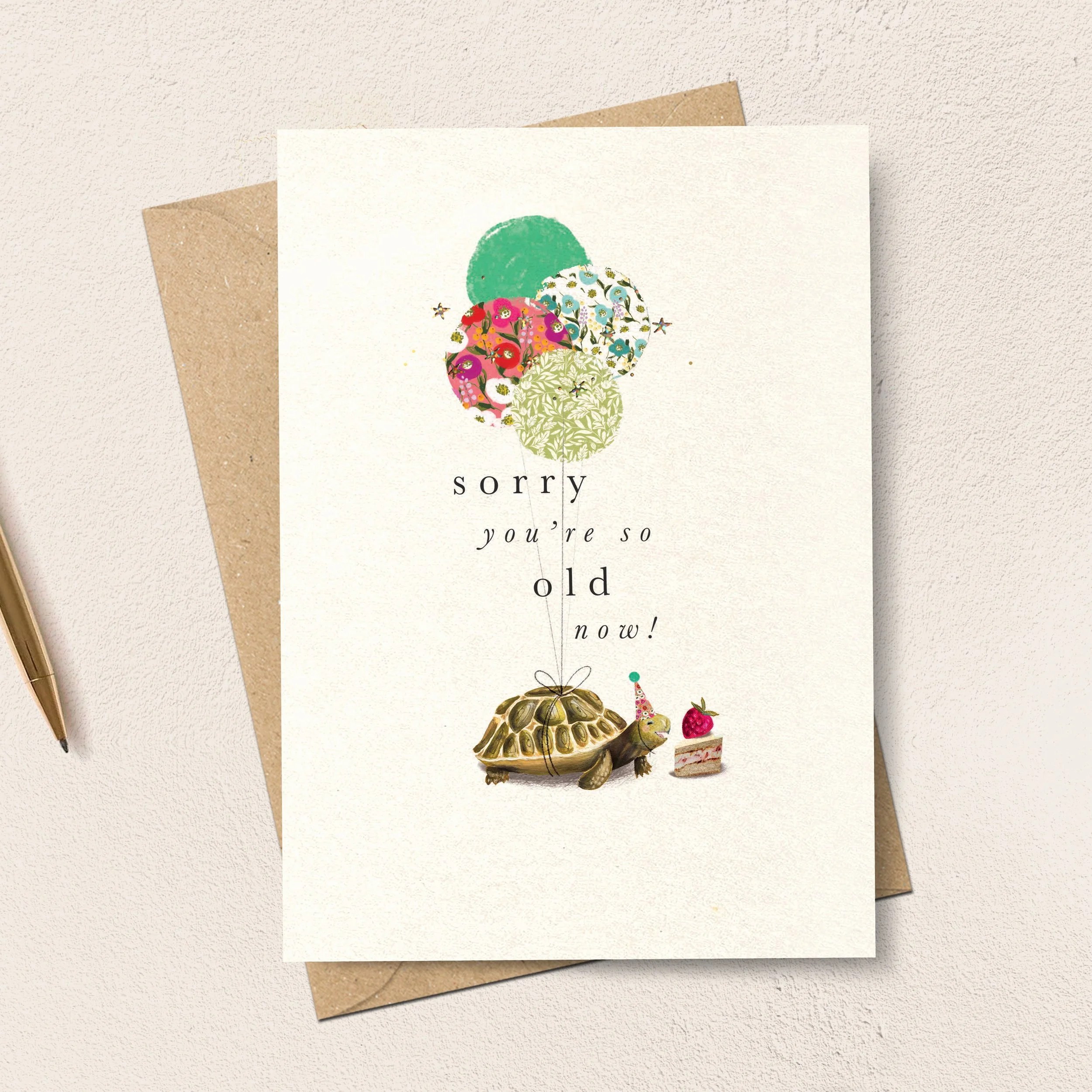 SDFR07 Tortoise Old Birthday - Stephanie Davies.jpg