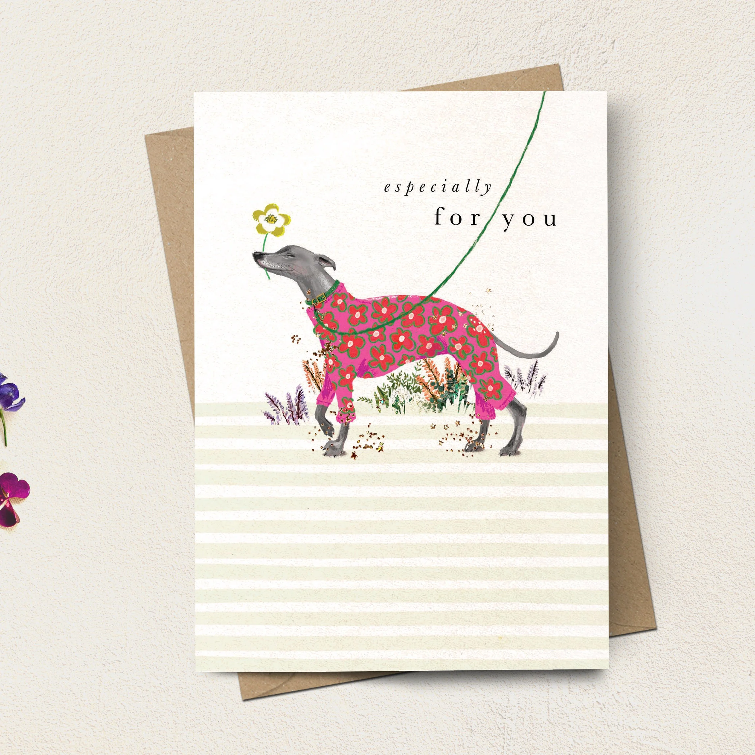 SDFR10 Whippet Especially For You - Stephanie Davies.jpg