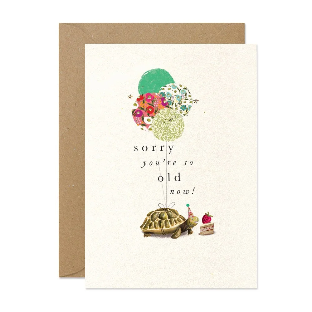 SDFR07-tortoise-old-birthday-greetings-card-stephanie-davies.jpg