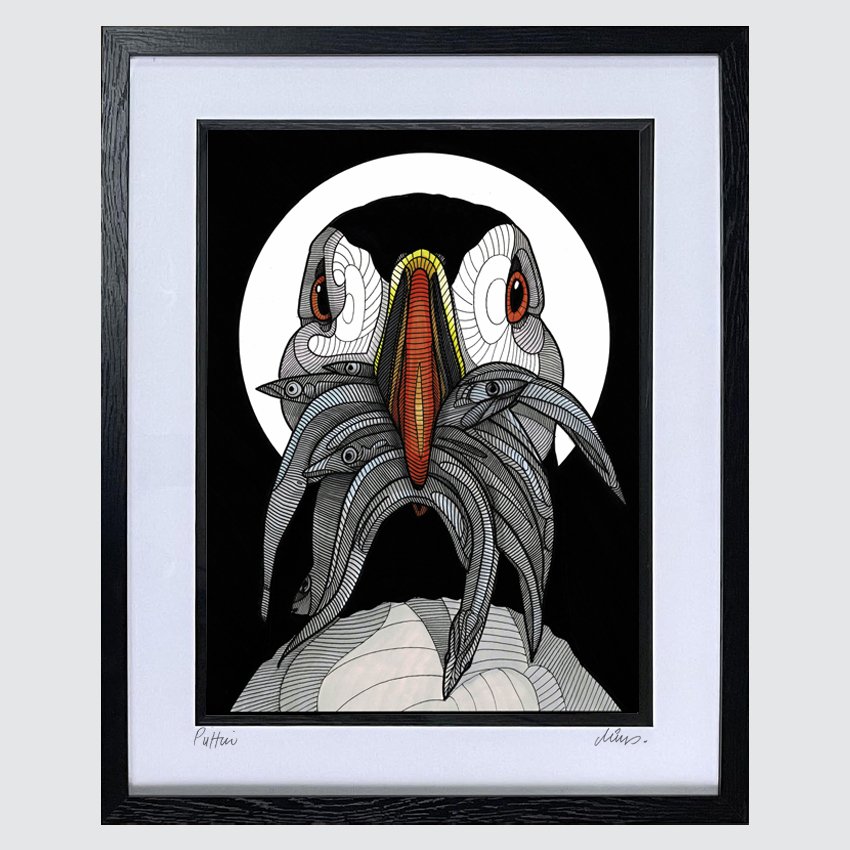 puffin.jpg