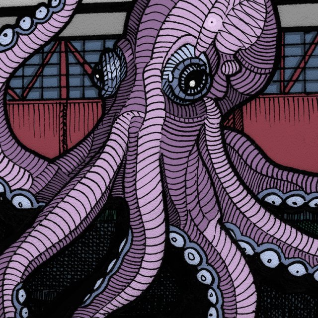 inquisitiveoctopusdetails.jpg