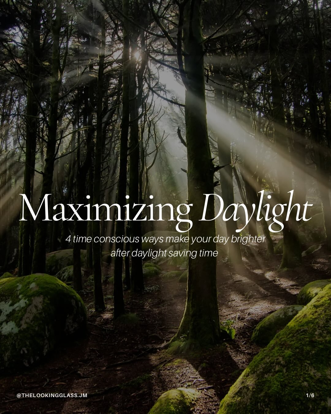 As the days grow longer, consider it an invitation to reset. ☀️🌿

Maximizing daylight and reconnecting with nature can gently support your mental and emotional well-being. Open your windows in the morning. Take a short walk outside. Journal, read, o