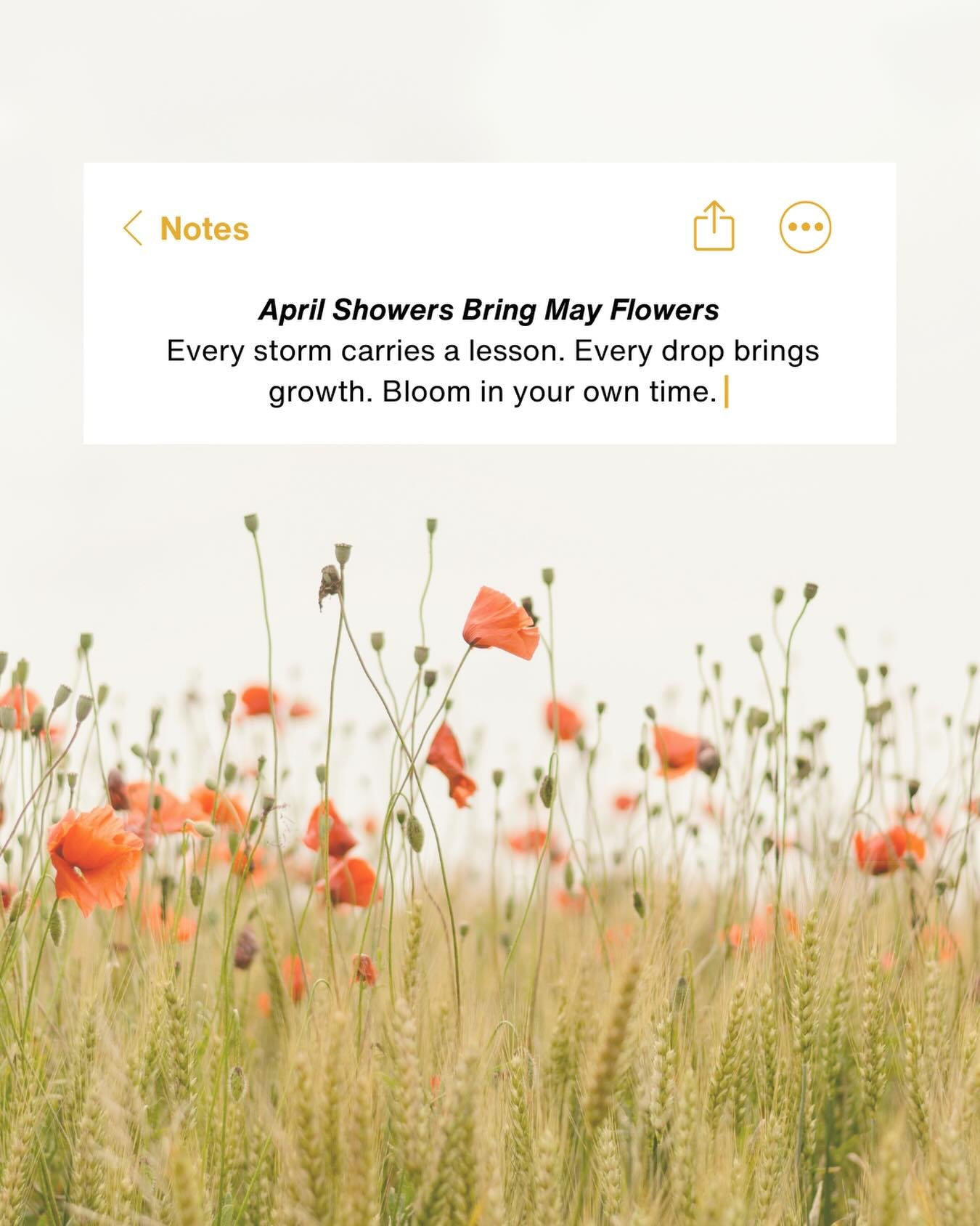 April may bring the rain, but every drop is planting the seeds for something beautiful 🌱💧. Remember, growth takes time; it&rsquo;s sometimes slow, sometimes messy, but always worth it. 🌷

#Growth #AprilShowers #TheLookingGlass #BIPOCTherapy