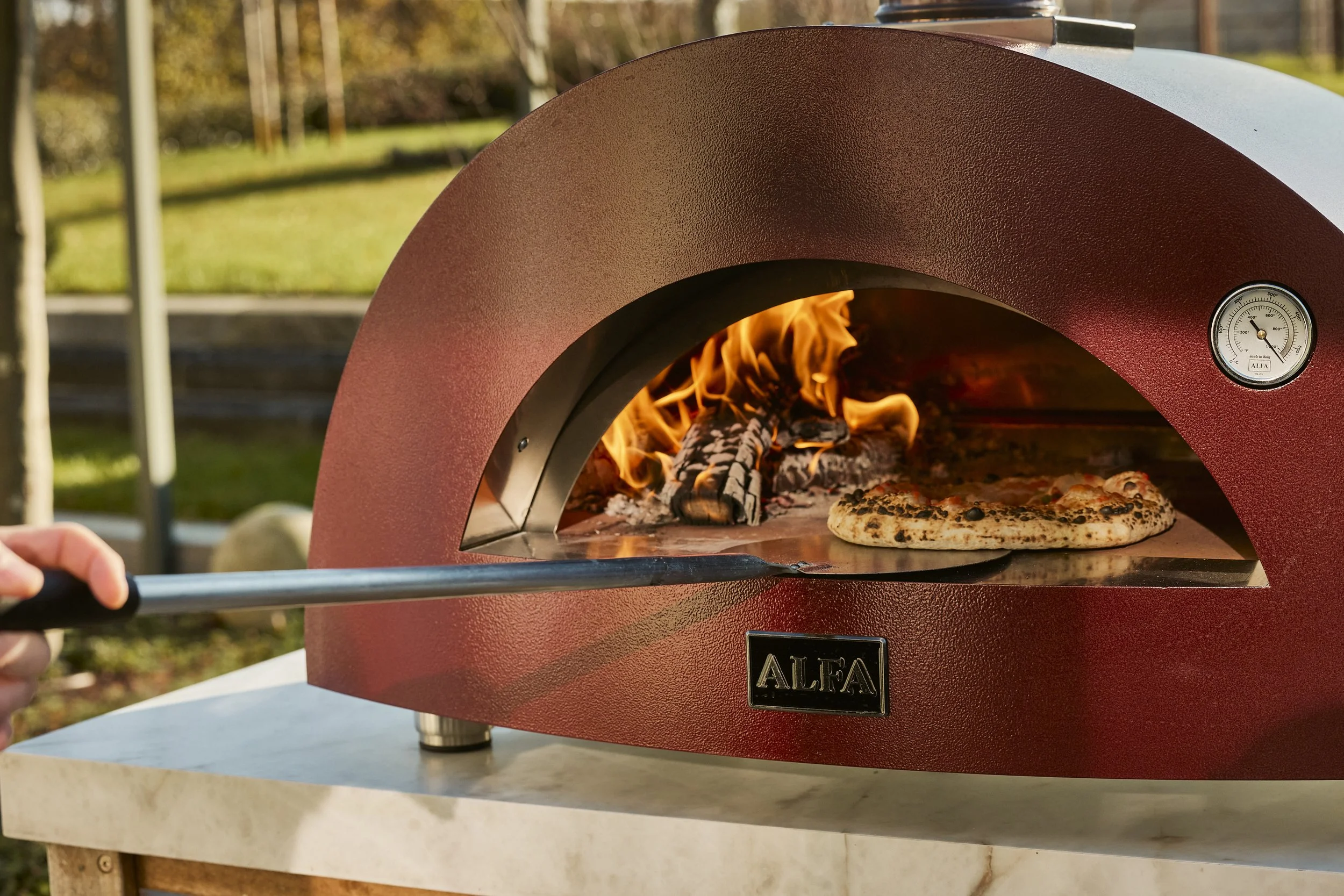 Alfa Wood Fired Pizza.jpg