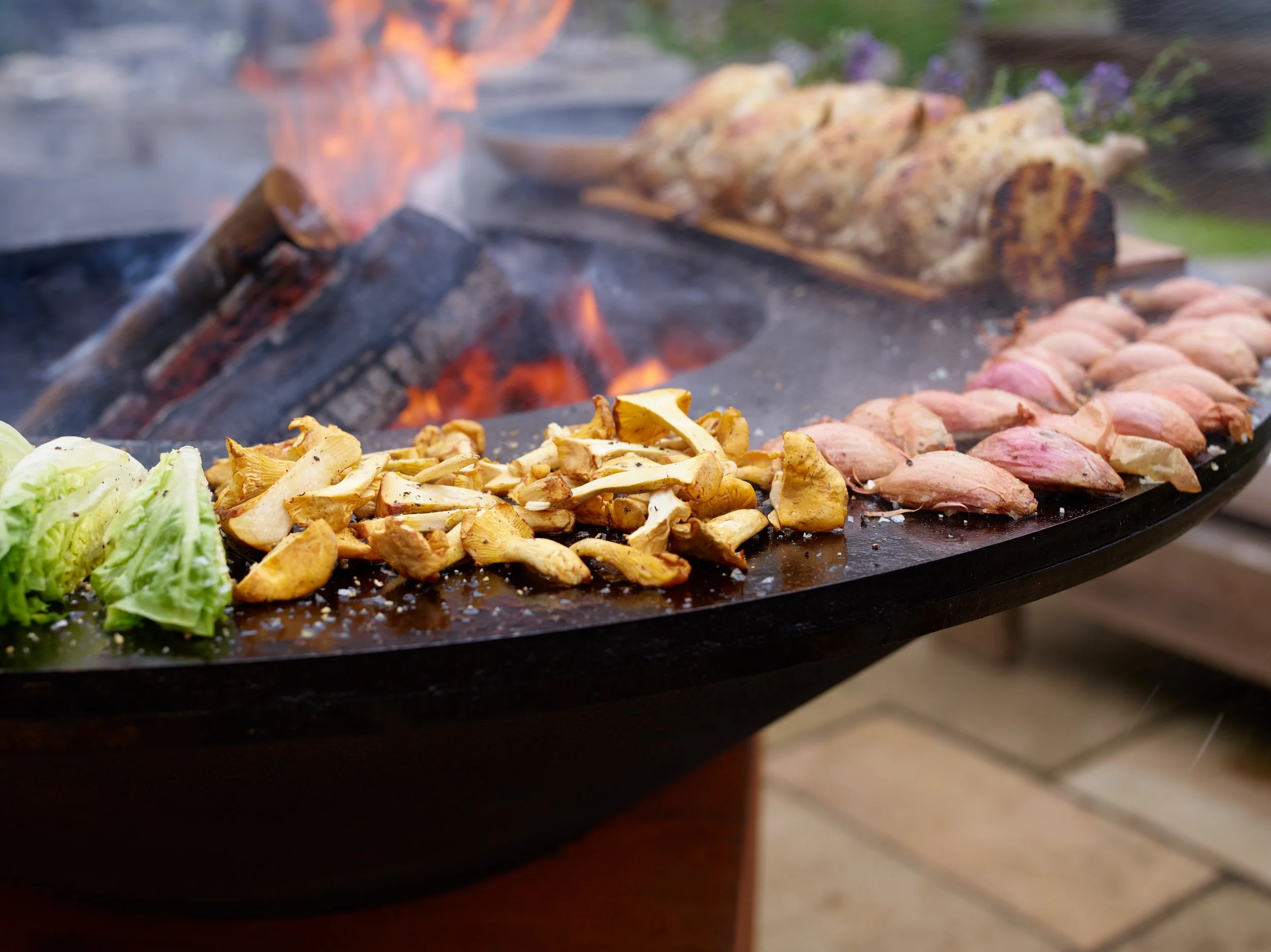 CF008159 - Chris Ridley - co - uk.jpg