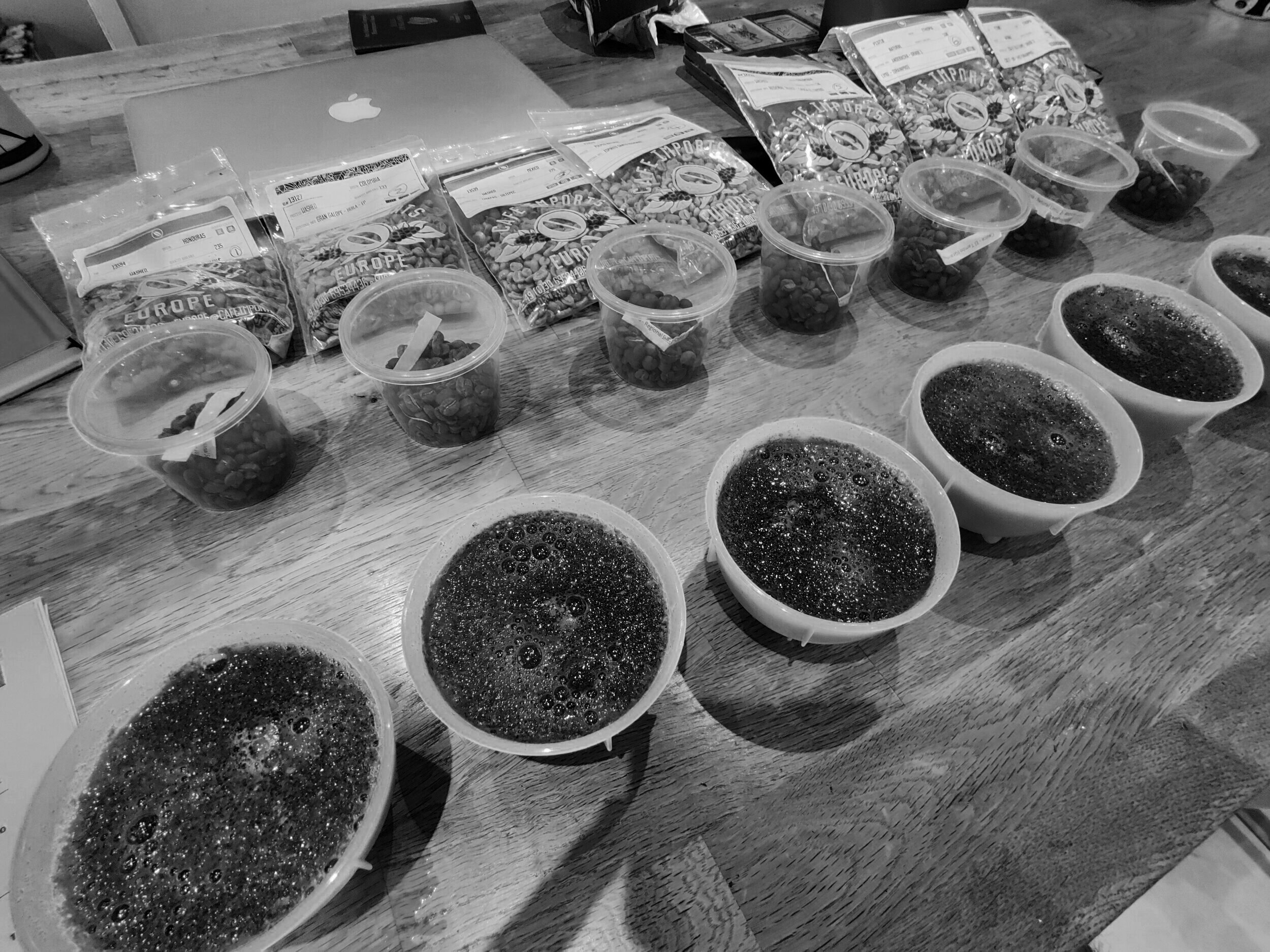 New Kid Coffee Roasters