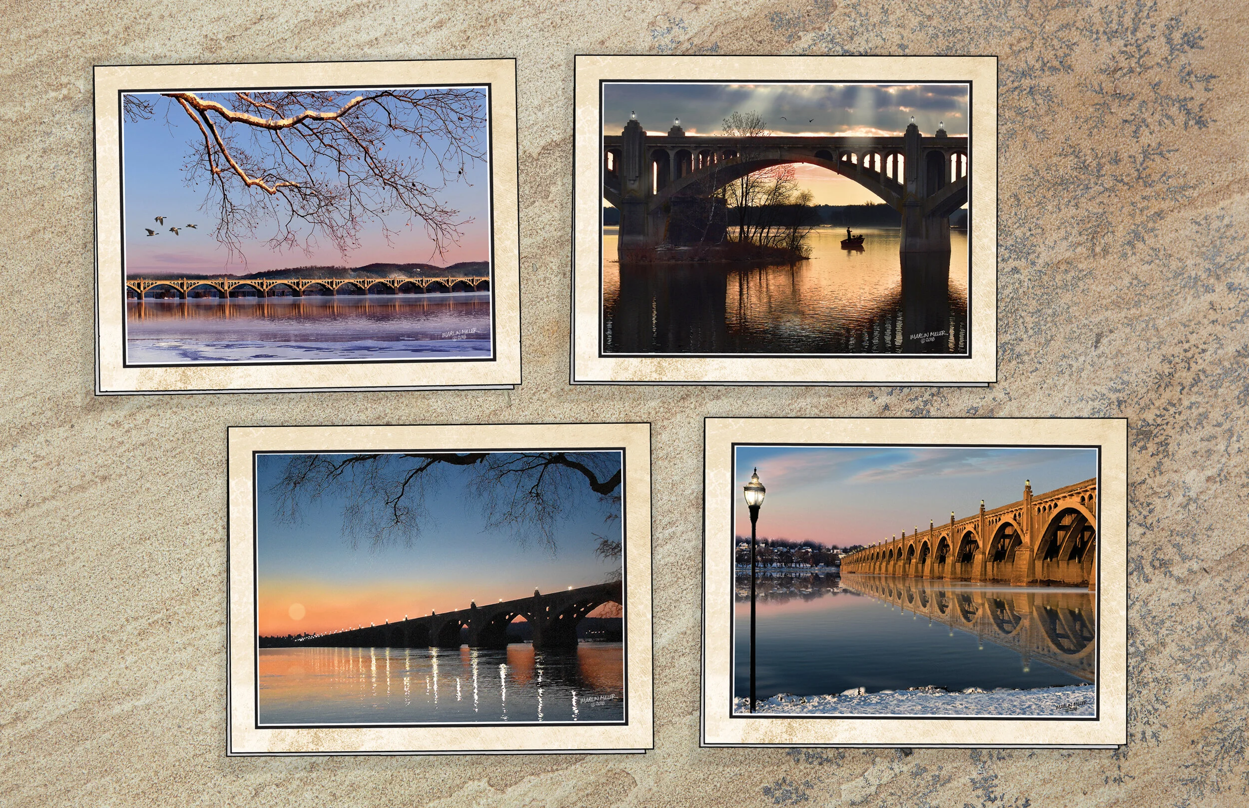 Lemon Street Studio Greeting Card Series