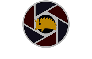 whole_hog_media_01a.png